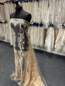 Champagne Embroidered Lace - Dinah -Elegance in Lace 2