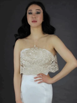 Champagne Sequinned Embroidery Lace - Albany 18 Champagne Sequinned Embroidery Lace - Albany -Elegance in Lace AlbanyLaceTop2