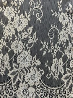 Champagne Raschel Lace - Brooke -Elegance in Lace Brooke 1