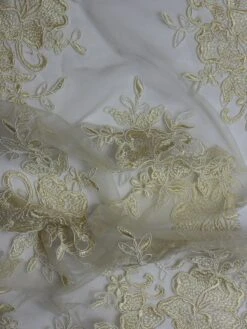 Champagne Corded Lace - Cecilia -Elegance in Lace Cecelia