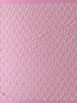 Champagne French Embroidered Lace - Larissa -Elegance in Lace ChampagneEmbroideryLace Larissa Fullwidth