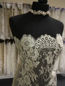 Champagne Raschel Lace - Brooke -Elegance in Lace ChampagneLace Brooke