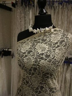 Champagne Raschel Lace - Ezra -Elegance in Lace ChampagneLace Ezra b69e2635 37ce 4cf3 a0fd 48a396621af8