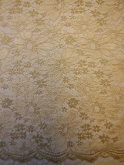 Champagne Raschel Lace - Moseley -Elegance in Lace ChampagneLace Moseley