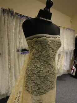 Champagne Raschel Lace - Moseley -Elegance in Lace ChampagneLace Moseley 4732f762 6e94 4ad8 89c1 a89d86dc3fca