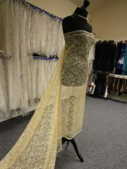 Champagne Raschel Lace - Moseley -Elegance in Lace ChampagneLace Moseley 5bb6b45e f43a 4ab0 8277 3d6397e53911