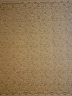 Champagne Raschel Lace - Moseley -Elegance in Lace ChampagneLace Moseley FullWidth