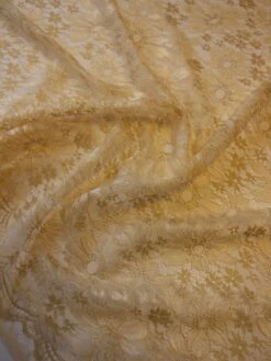 Champagne Raschel Lace - Moseley -Elegance in Lace ChampagneLace Moseley closeup