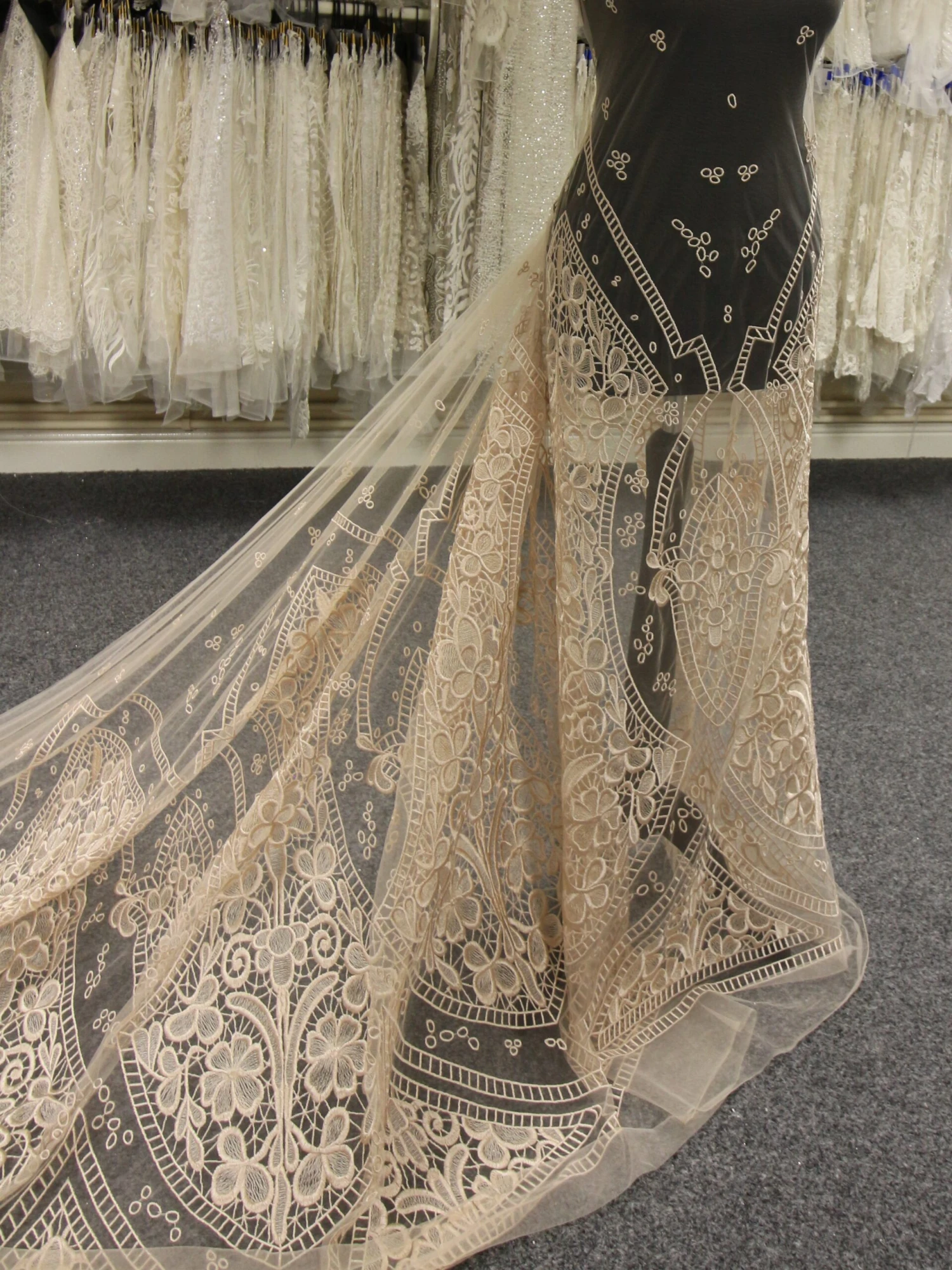 Champagne Embroidered Lace - Nyla 4 Champagne Embroidered Lace - Nyla - Image 2