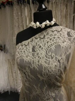 Champagne Raschel Lace - Vernita -Elegance in Lace ChampagneLace Vernita b765c736 50fe 4332 895b f131b3df1dd3