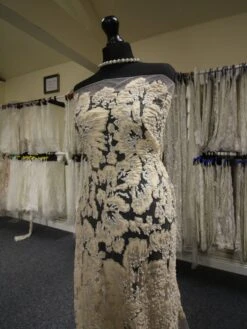 Champagne Embellished Lace - Allie 9 Champagne Embellished Lace - Allie -Elegance in Lace Champagnelace Allie