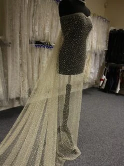 Champagne Diamanté & Beaded Tulle - Zola -Elegance in Lace DiamanteTulle Zola 1