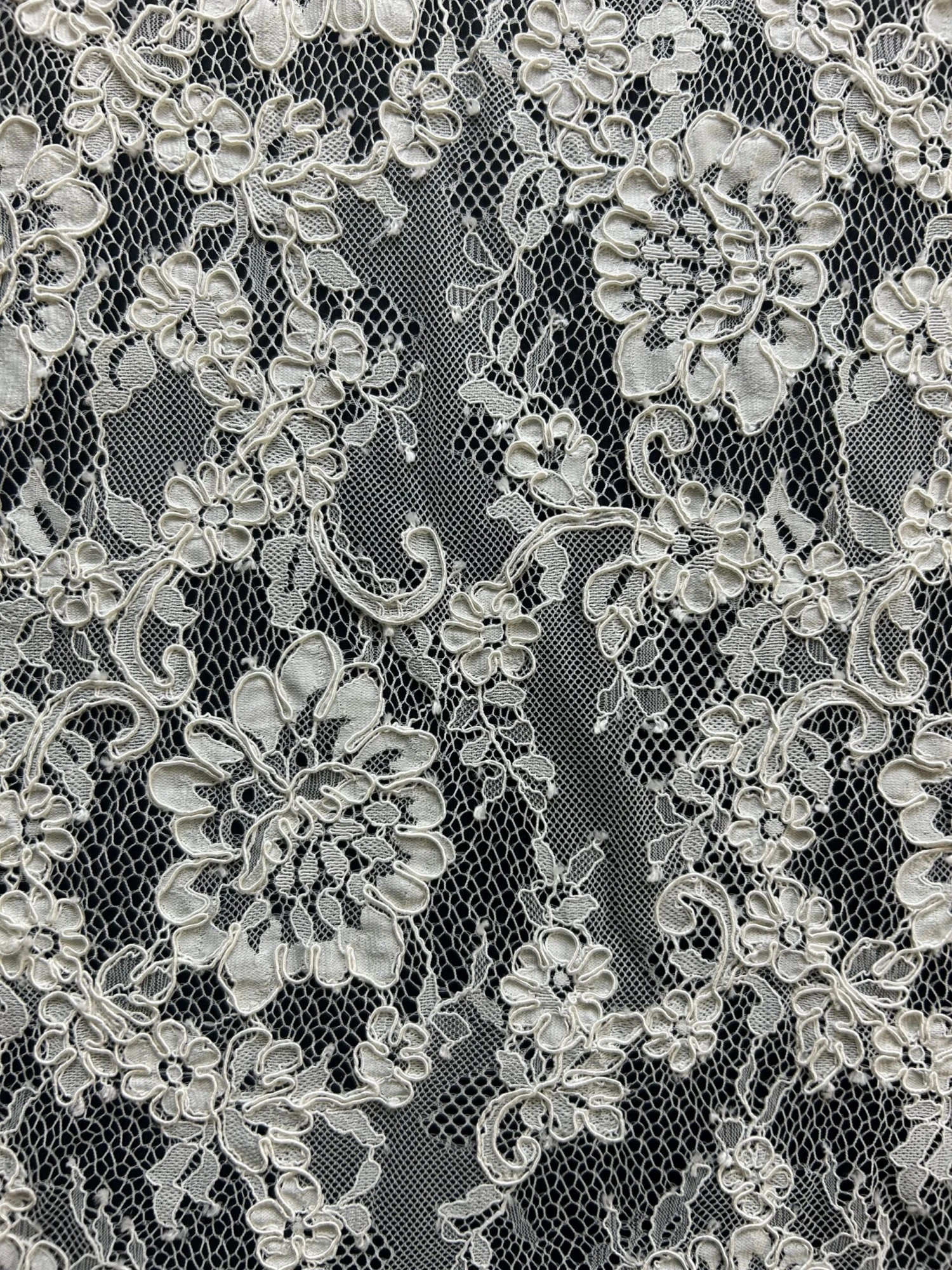 Ivory Corded Lace - Dionne 10 Ivory Corded Lace - Dionne - Image 8