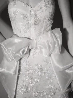 Ivory Beaded Lace - Amaris -Elegance in Lace H5530 D7