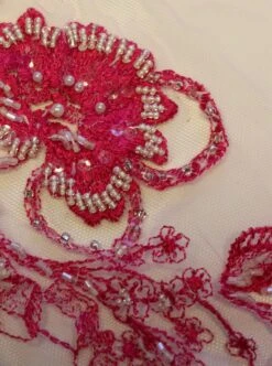 Passion Pink Lace - Roberta -Elegance in Lace IMG 9898