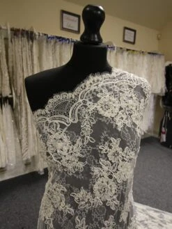 Ivory Corded Lace – Gemma -Elegance in Lace IvoryCordedLace Gemma 0273545f 5d1d 49a4 b9ea 50b1da6e60cc