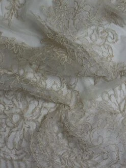Champagne Corded Lace - Millicent -Elegance in Lace Millicent