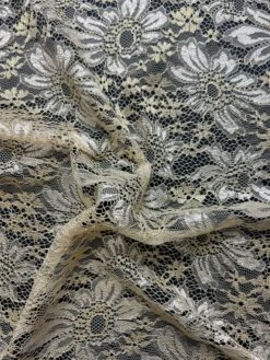 Champagne Raschel Lace - Moseley -Elegance in Lace Moseley