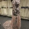 Dusky Pink Lace - Oba -Elegance in Lace PInkLace Oba 97644fd2 8059 49b3 bed9 359b71f0ef6b