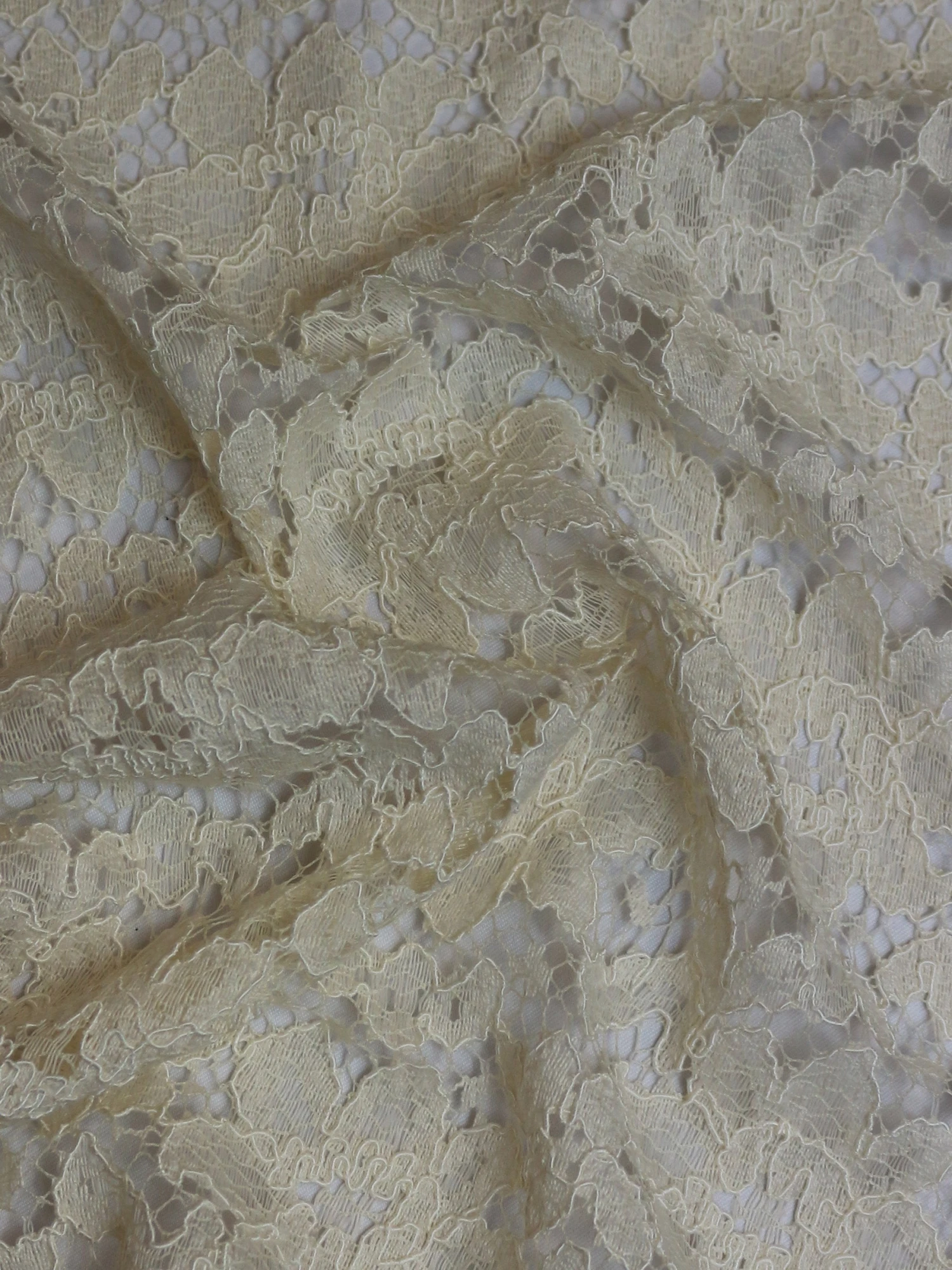 Champagne Corded Lace - Shannon 5 Champagne Corded Lace - Shannon - Image 3