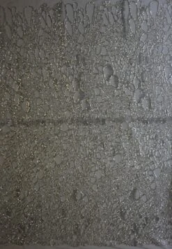 Silver Corded Lace - Raven 14 Silver Corded Lace - Raven -Elegance in Lace SilverLace Raven FullWidth