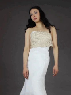 Champagne Sequinned Embroidery Lace - Albany 17 Champagne Sequinned Embroidery Lace - Albany -Elegance in Lace albany lace top1