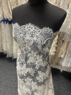 Ivory Corded Lace – Meredith -Elegance in Lace b 0c8213a8 6919 4672 a3ed 0146238548a6