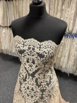 Champagne Sequinned Embroidery Lace - Albany 21 Champagne Sequinned Embroidery Lace - Albany -Elegance in Lace b 73bd0eba 8a29 4b37 9626 67db2b9c5659