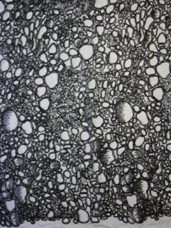 Black Corded Lace - Raven 13 Black Corded Lace - Raven -Elegance in Lace black corded tulle raven 2