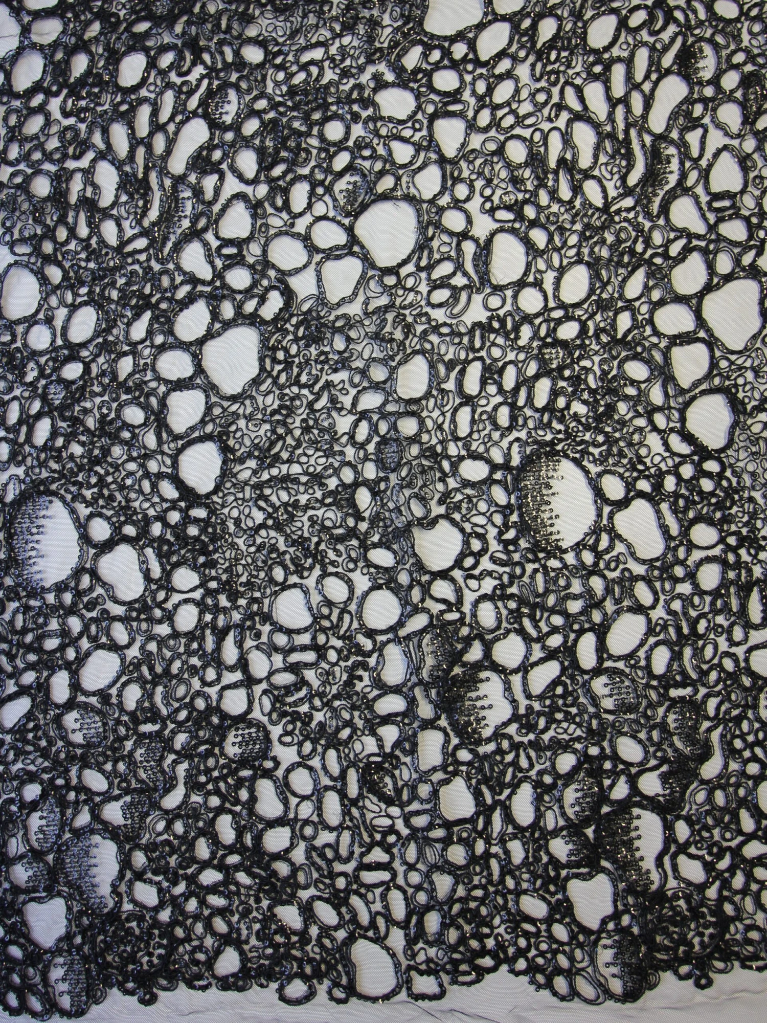 Black Corded Lace - Raven 8 Black Corded Lace - Raven - Image 6