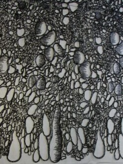 Black Corded Lace - Raven 11 Black Corded Lace - Raven -Elegance in Lace black corded tulle raven