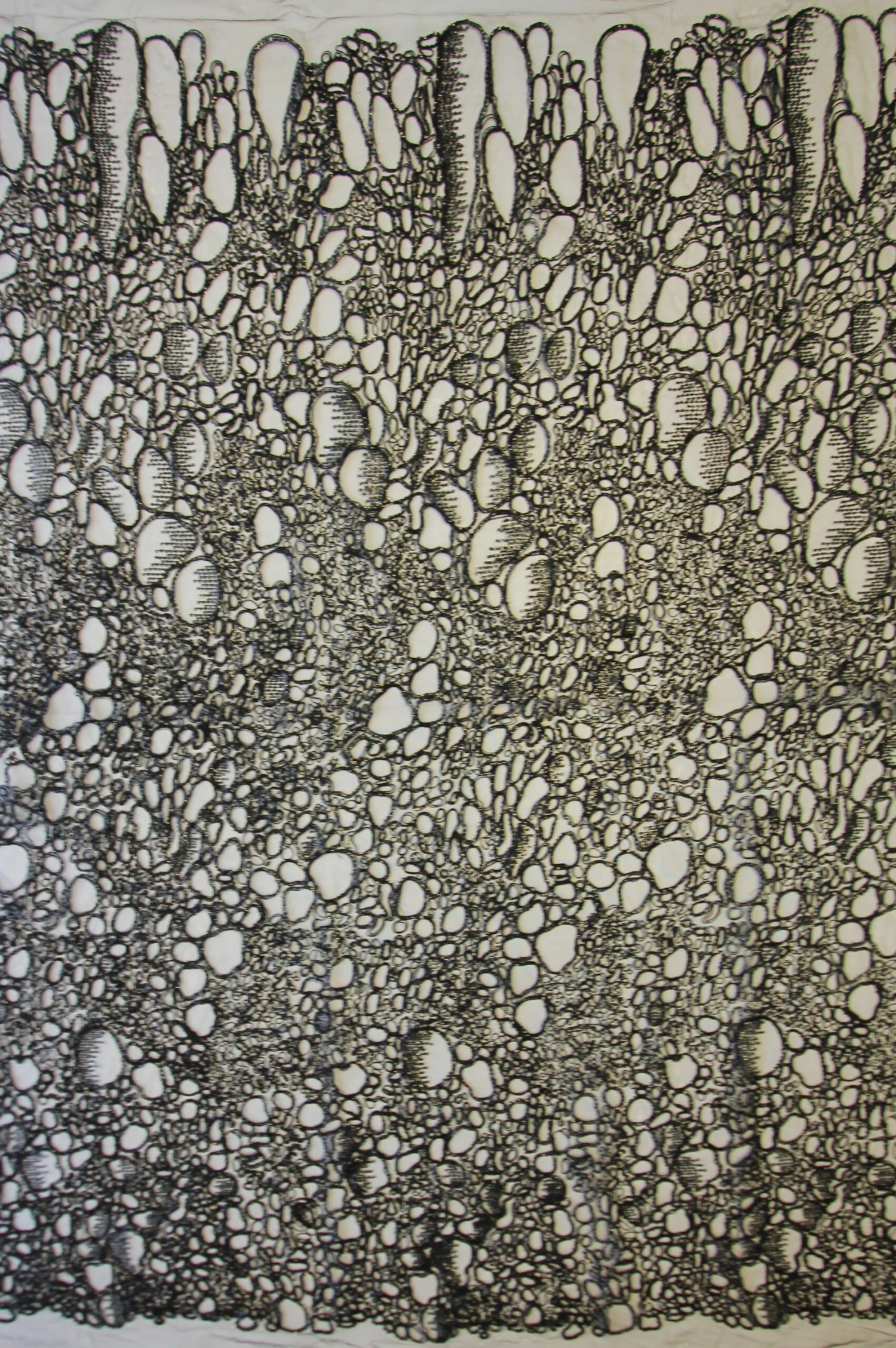 Black Corded Lace - Raven 7 Black Corded Lace - Raven - Image 5