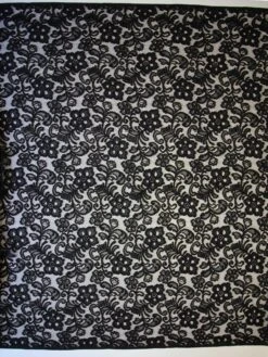 Black Lace - Edwina -Elegance in Lace black raschel lace edwina full width