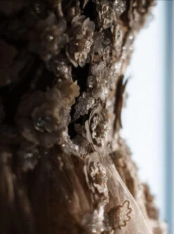 Champagne Beaded Flower Lace - Blake 29 Champagne Beaded Flower Lace - Blake -Elegance in Lace blakechdress6