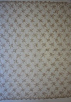 Champagne Corded Lace - Geraldine 11 Champagne Corded Lace - Geraldine -Elegance in Lace champagne corded lace geraldine full width