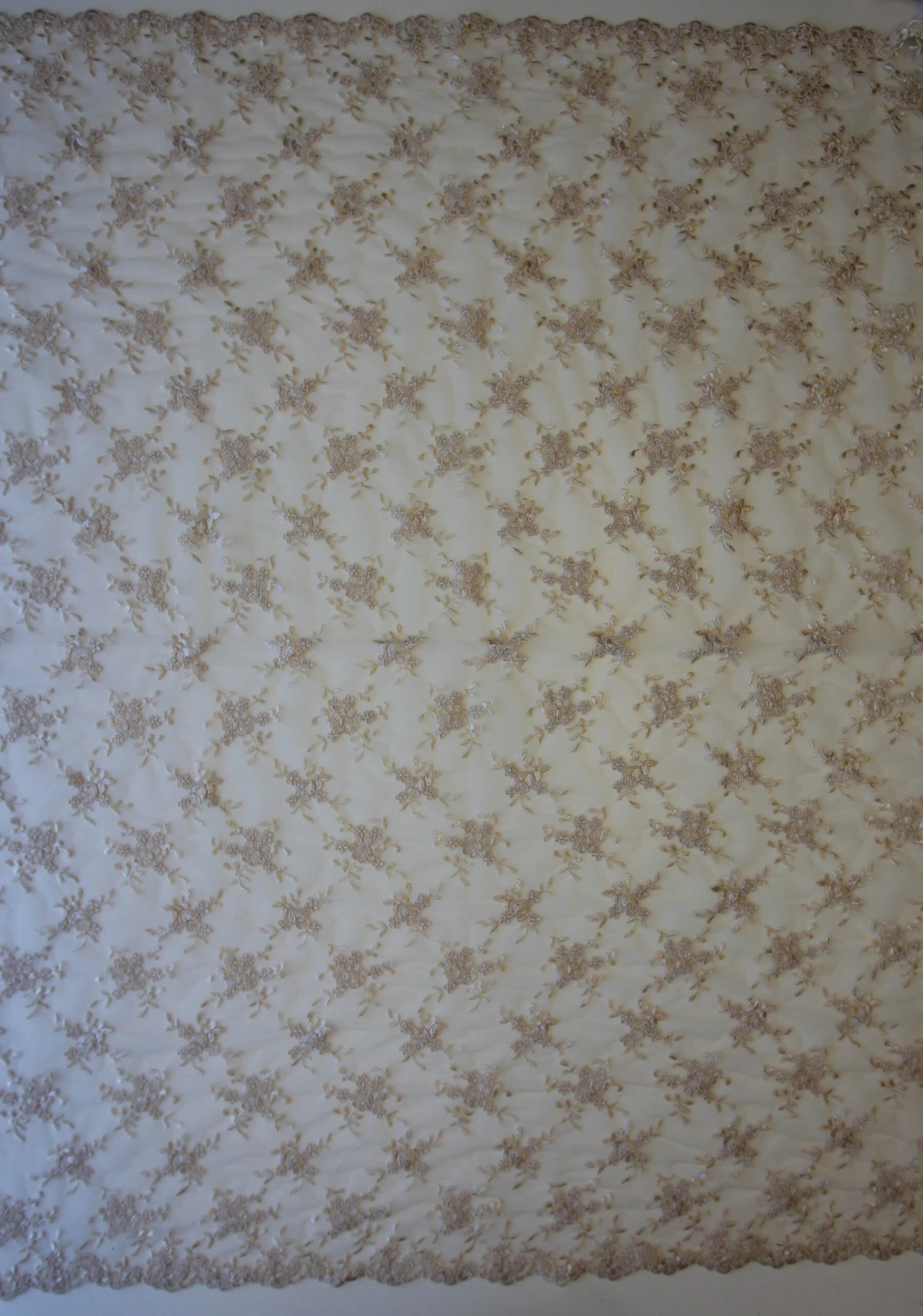 Champagne Corded Lace - Geraldine 5 Champagne Corded Lace - Geraldine - Image 3