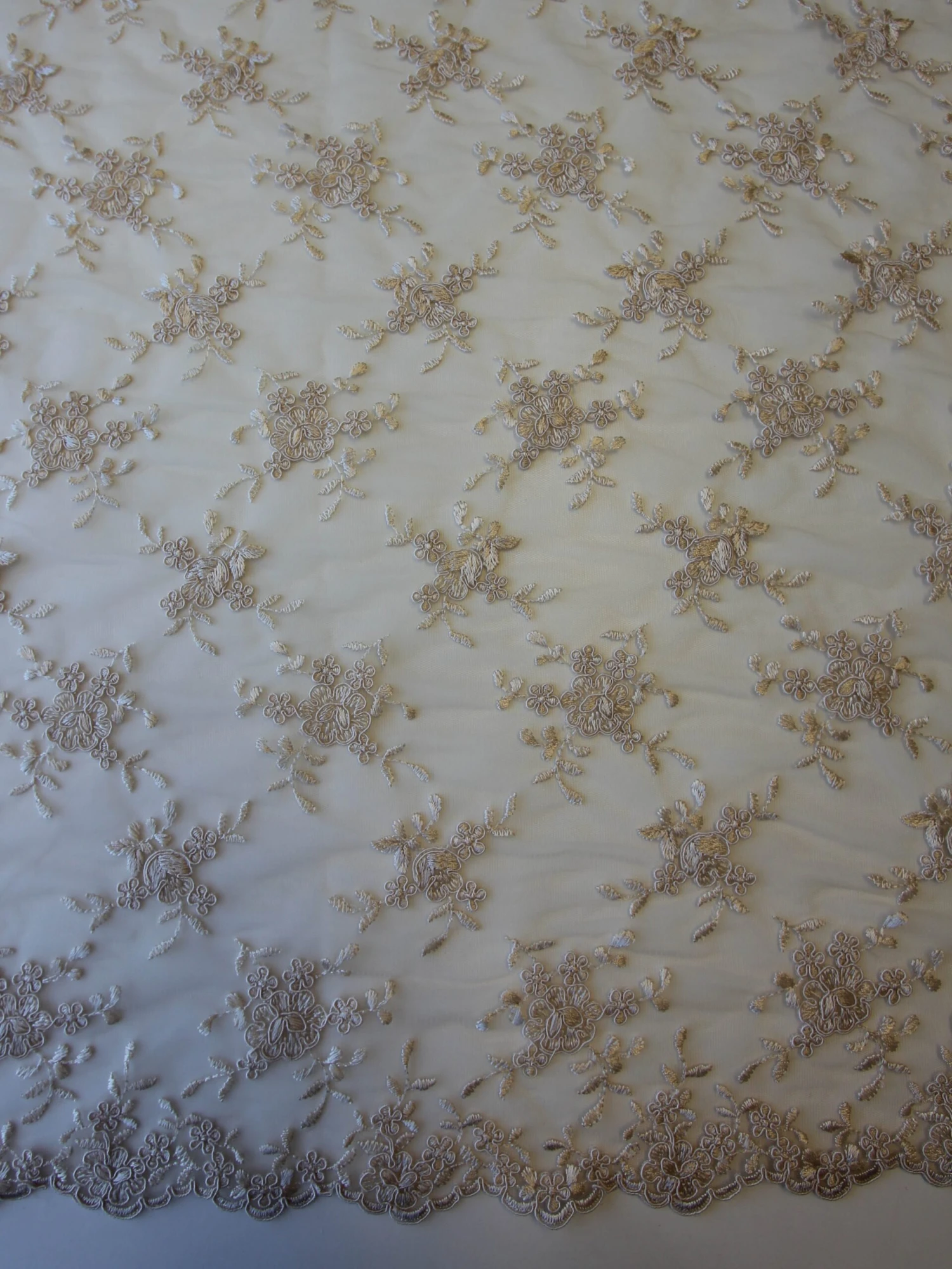 Champagne Corded Lace - Geraldine 4 Champagne Corded Lace - Geraldine - Image 2