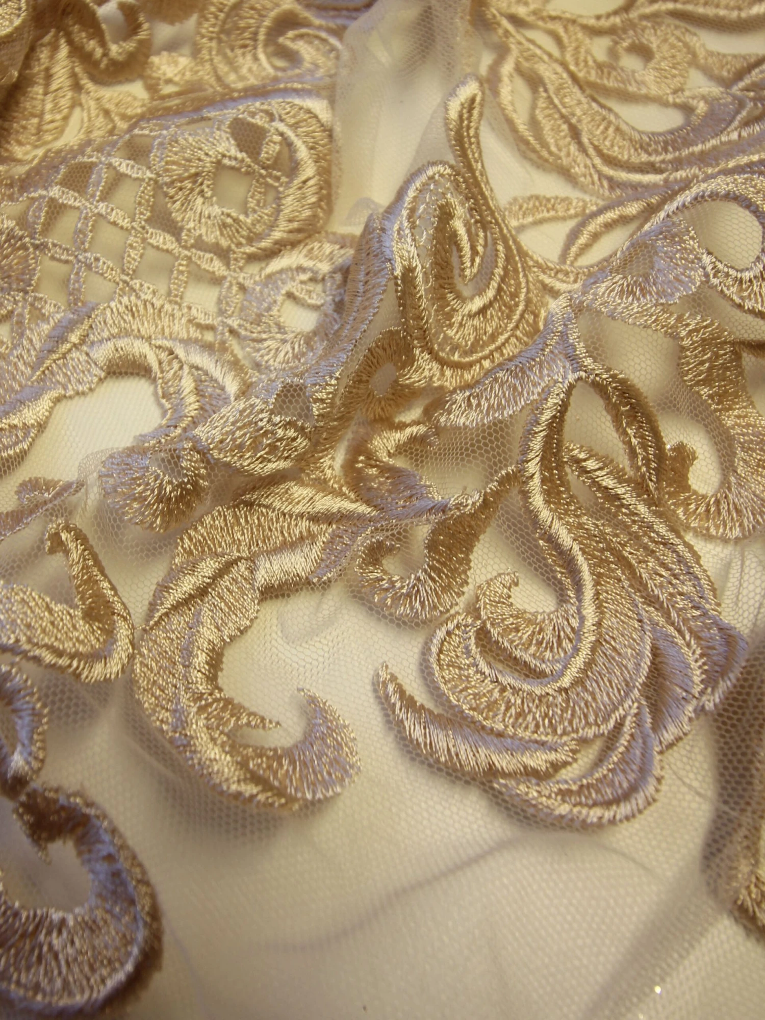 Champagne Embroidered Lace - Binta 6 Champagne Embroidered Lace - Binta - Image 5