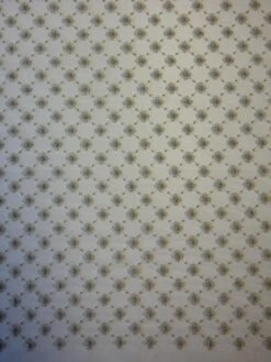 Champagne Embroidery Lace - Gavina -Elegance in Lace champagne embroidered lace gavina