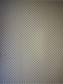 Champagne Embroidery Lace - Gavina -Elegance in Lace champagne embroidered lace gavina full width