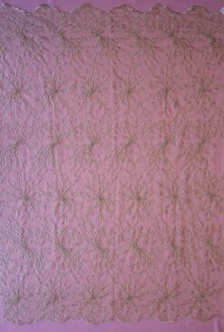 Champagne Embroidered Lace - Manon -Elegance in Lace champagne embroidered lace manon full width