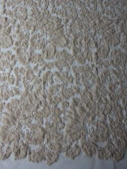 Champagne Embellished Lace - Allie 12 Champagne Embellished Lace - Allie -Elegance in Lace champagne lace allie