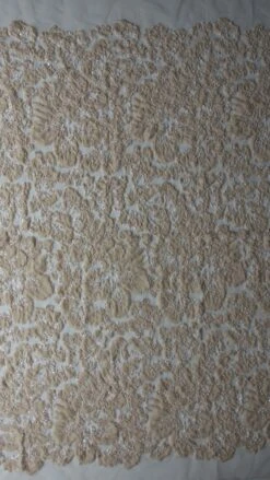 Champagne Embellished Lace - Allie 10 Champagne Embellished Lace - Allie -Elegance in Lace champagne lace allie full width