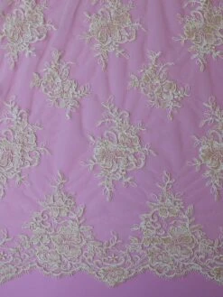 Champagne Corded Lace - Cecilia -Elegance in Lace champagne lace cecilia
