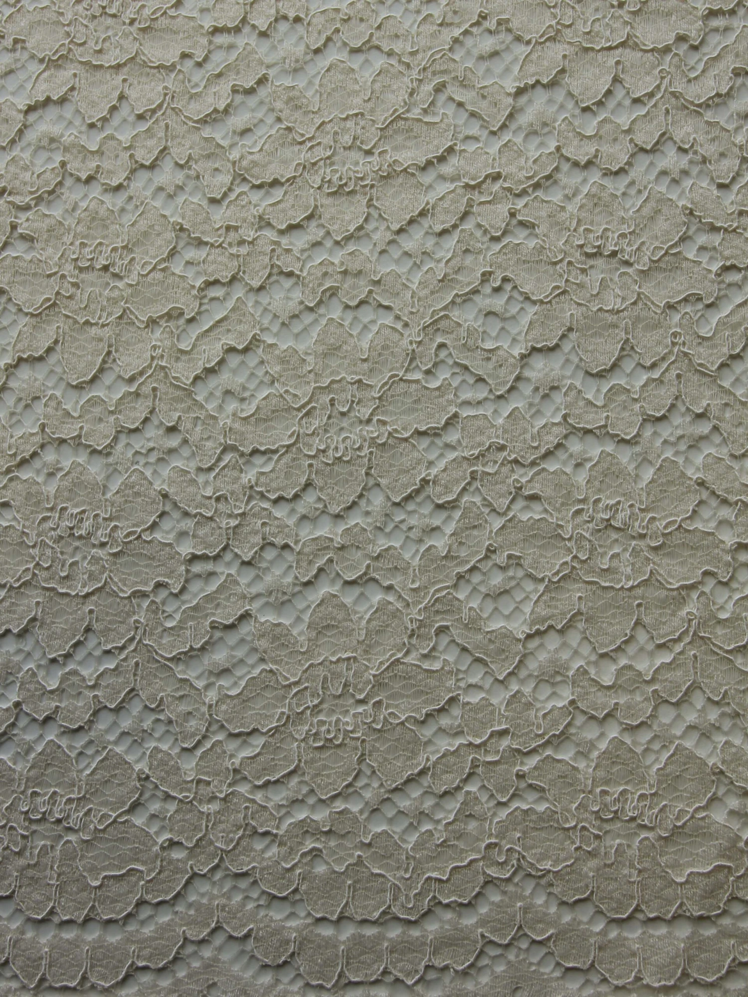 Champagne Corded Lace - Shannon 4 Champagne Corded Lace - Shannon - Image 2