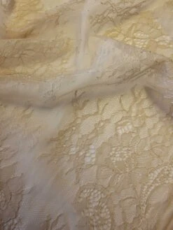 Champagne Raschel Lace - Vernita -Elegance in Lace champagne raschel lace vernita close up