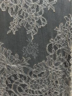 Champagne Raschel Lace - Coralie -Elegance in Lace coralie 1