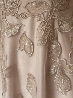 Pink Embroidered Lace - Galliano -Elegance in Lace galliano2