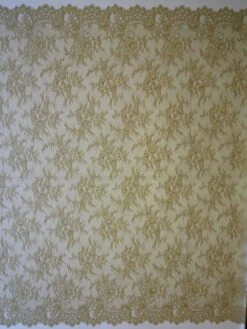 Champagne Raschel Lace - Katherine 10 Champagne Raschel Lace - Katherine -Elegance in Lace gold raschel lace katherine full width