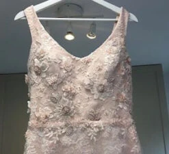 Blush Beaded Lace - Hildreth -Elegance in Lace hildreth blush lace wedding dress 1